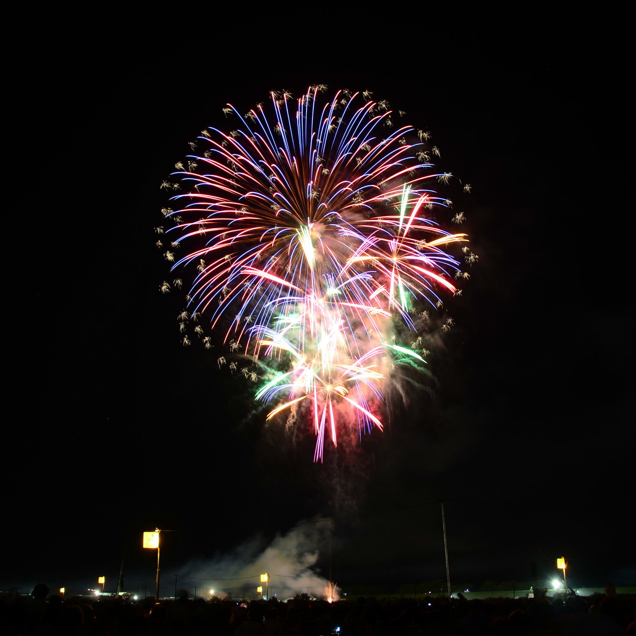 D70_9356a-hanabi.jpg